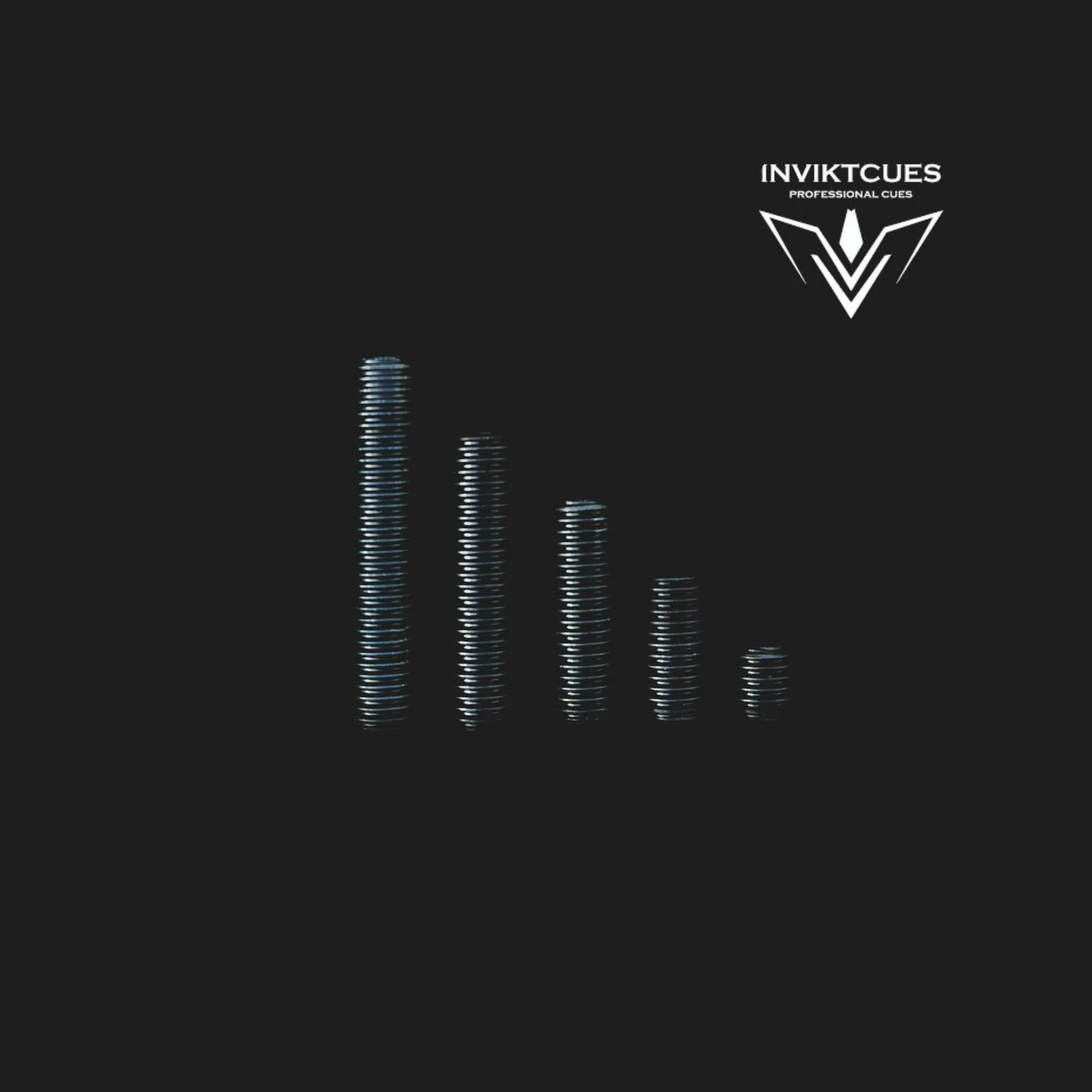 Invikt Gewichten-set